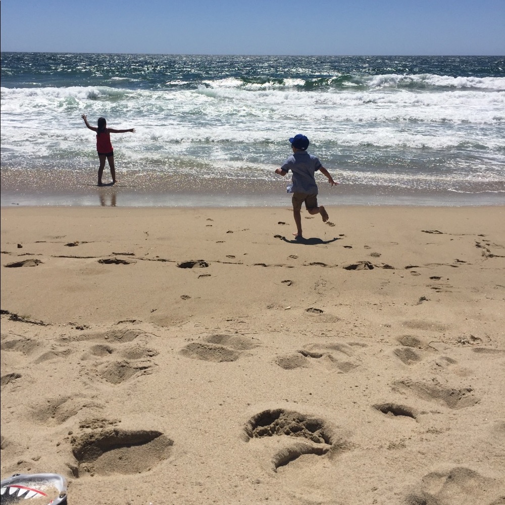 Meet your Posher, Lilia